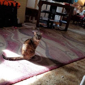 Meet your Posher, Marcia